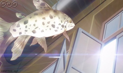 「クラシカロイド、2期から見ても分かるかな~?」「大丈夫!!!1期から見ても訳が分からn(自粛」#だがそれがいい#クラシ 「クラシカロイド、2期から見ても分かるかな~?」「大丈夫!!!1期から見ても訳が分からn(自粛」#だがそれがいい#クラシ
