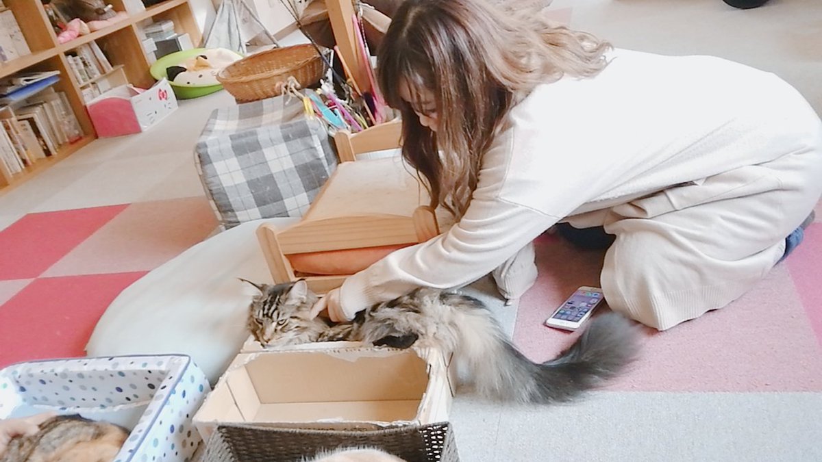 櫻子さんと猫カフェ(o´罒`o)♥ 櫻子さんと猫カフェ(o´罒`o)♥