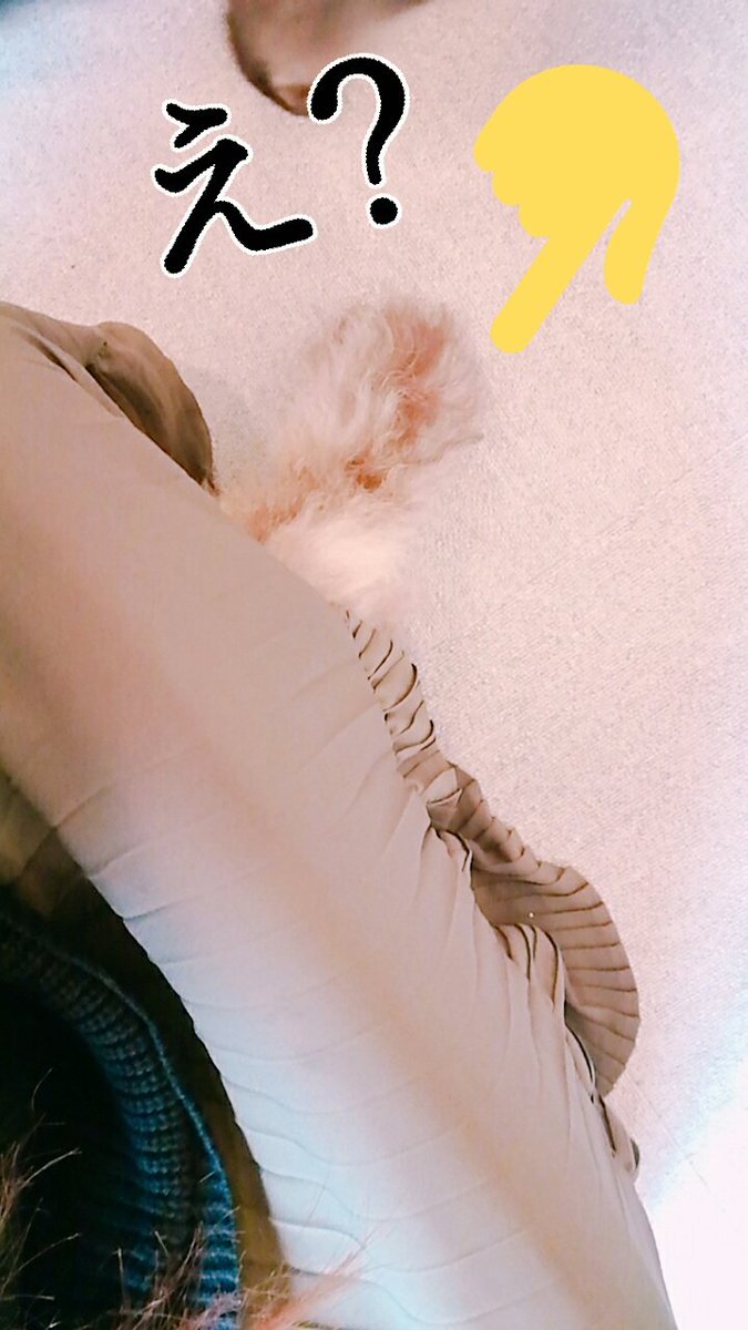 猫カフェ楽しかった(o´罒`o)♥ぶちゃかわ猫とイケメンいっぱい(◍ ´꒳` ◍)b1枚目はみみたんのスカートの中に入る 猫カフェ楽しかった(o´罒`o)♥ぶちゃかわ猫とイケメンいっぱい(◍ ´꒳` ◍)b1枚目はみみたんのスカートの中に入る