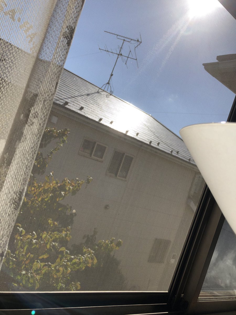 태풍 부산 비가 바람 뚫고 불편한용기 장난 fuwarinxoxo