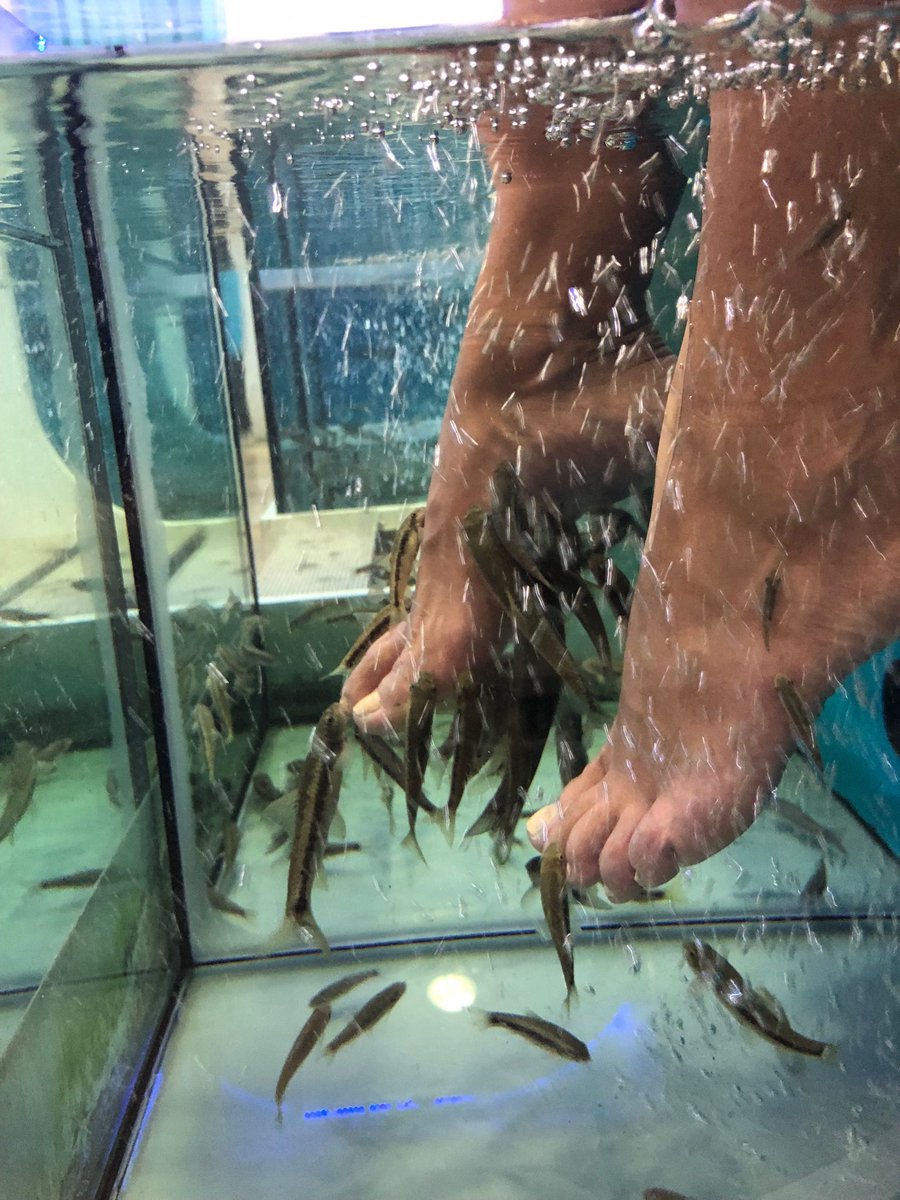 Fish pedicure in Greece #ticklish  ???? https://t.co/wGOTu2N6bg