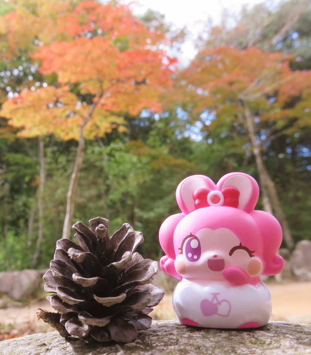 秋の気配♪#cocotama#ここたび 秋の気配♪#cocotama#ここたび