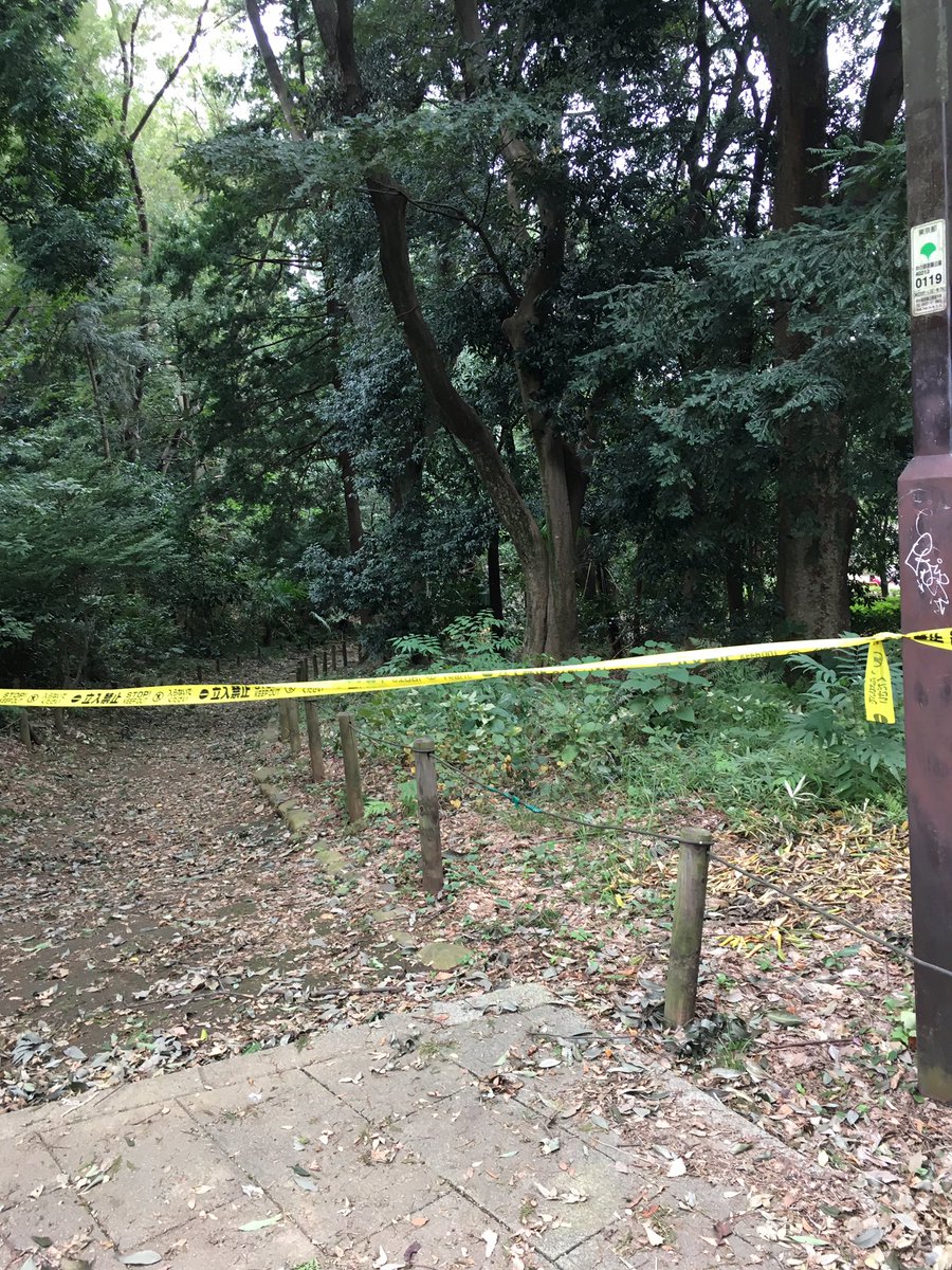 あと井の頭公園がぷちオカルティックナインしてた(立ち入り禁止) あと井の頭公園がぷちオカルティックナインしてた(立ち入り禁止)
