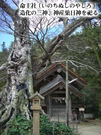 10月は神在月です出雲大社へ参拝される方、+αの観光はいかがですか?出雲大社近くの命主社(カミムスビ神)、スサノオ、アマ 10月は神在月です出雲大社へ参拝される方、+αの観光はいかがですか?出雲大社近くの命主社(カミムスビ神)、スサノオ、アマ