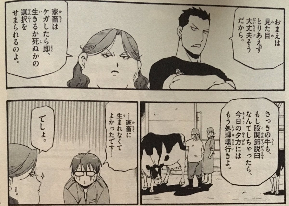 「家畜はケガしたら即、 生きるか死ぬかの選択をせまられるのよ。」by.稲田多摩子@銀の匙 「家畜はケガしたら即、 生きるか死ぬかの選択をせまられるのよ。」by.稲田多摩子@銀の匙