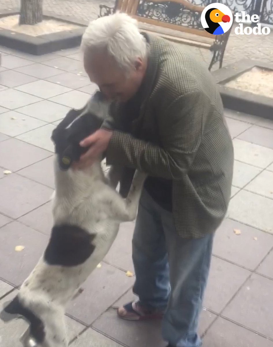 RT @dodo: This guy filmed himself reuniting with the dog he lost 3 years ago ???? https://t.co/zOrt9USBy5