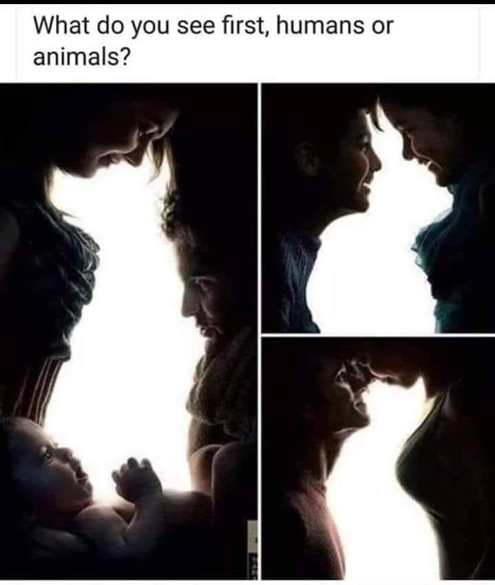 Wow ???? what do you see first ? Humans or animals ? https://t.co/6cViLegA6Z