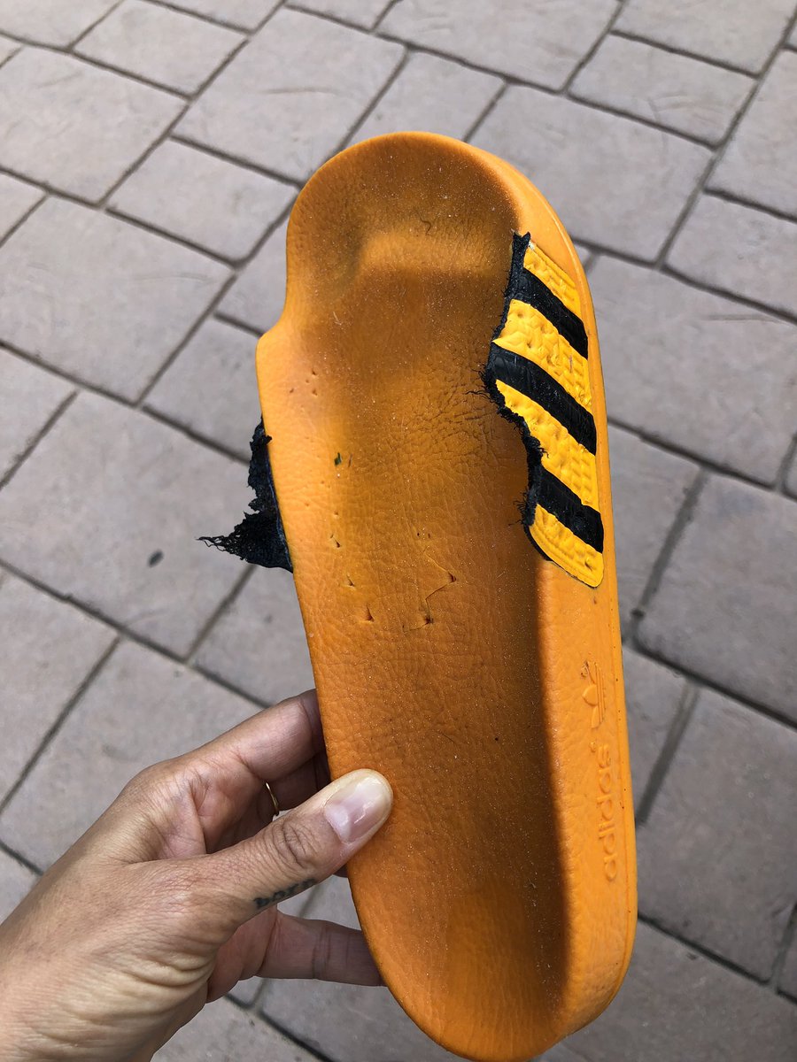 My friend’s dog just ate my favourite sliders ???? @adidas https://t.co/VcVQO9b5wc
