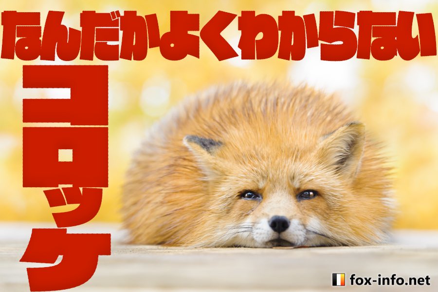 半日で500セット売れて即完売したフォント「キルラキルフォント」を買いました記念🦊キルラキルが好きだからというのもあるけ 半日で500セット売れて即完売したフォント「キルラキルフォント」を買いました記念🦊キルラキルが好きだからというのもあるけ
