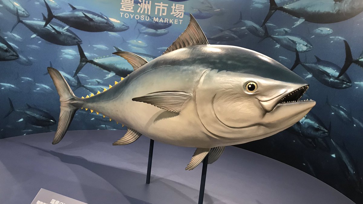 新市場視察まとめ・とても広い・現状ではオープンしていないショップが多くある ・屋上緑化広場の場所はわかりにくい飲食は禁止 新市場視察まとめ・とても広い・現状ではオープンしていないショップが多くある ・屋上緑化広場の場所はわかりにくい飲食は禁止