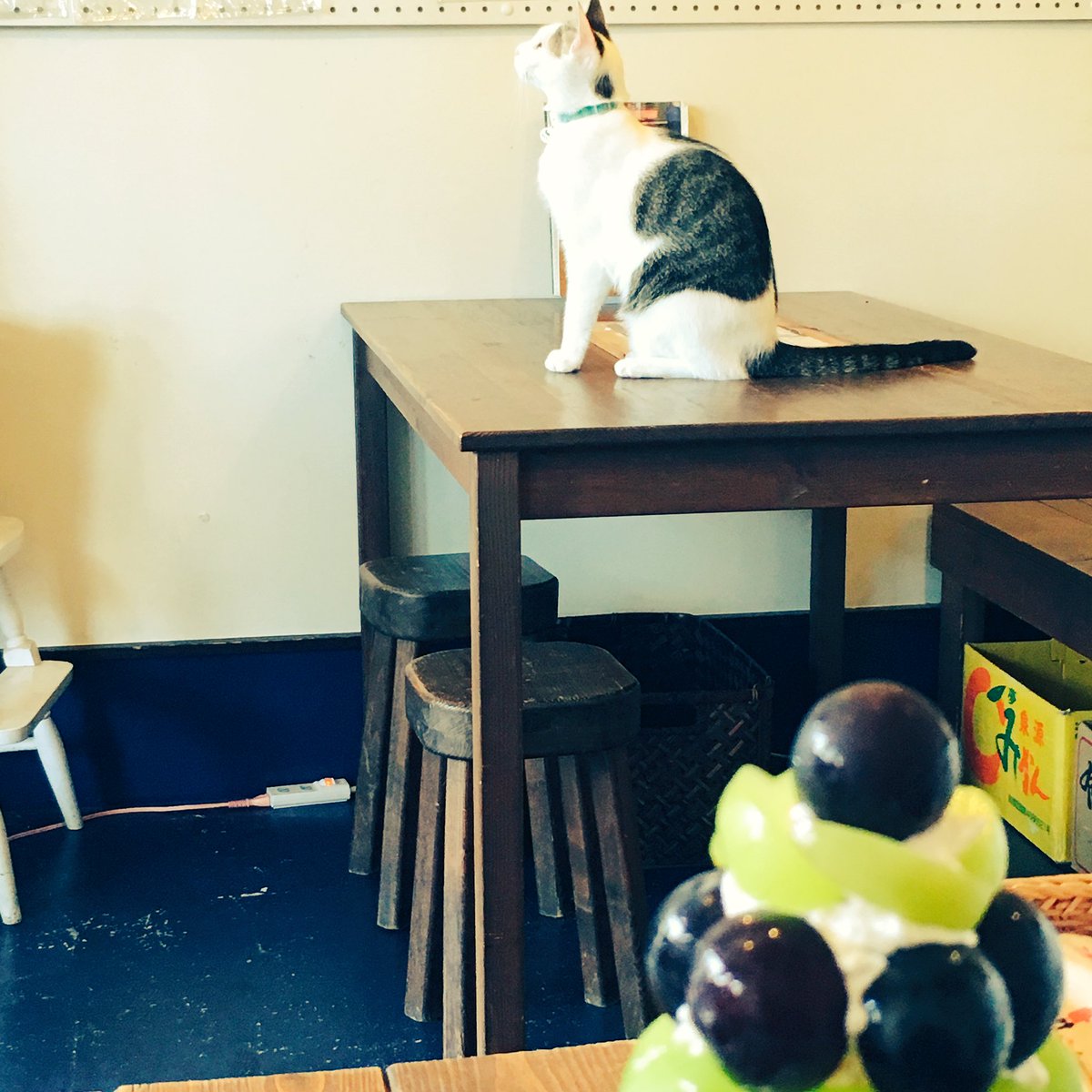 春に来てからずっと来たかった念願のおうちごはんcafe たまゆらん さんへ!贅沢ぶどうパフェ食べられた🍇🍇 春に来てからずっと来たかった念願のおうちごはんcafe たまゆらん さんへ!贅沢ぶどうパフェ食べられた🍇🍇