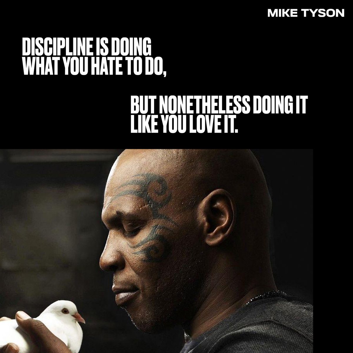 Discipline is doing what you hate to do, but nonetheless doing it like you love it. #miketyson https://t.co/zCih79COZE