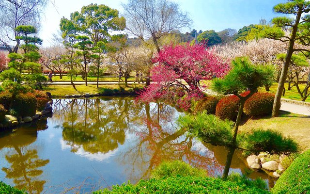 test ツイッターメディア - 偕楽園
【場所】茨城県水戸市常磐町
日本一広い公園として知られている、茨城県水戸市の偕楽園。
また、岡山市の後楽園や金沢市の兼六園と並んで日本三大庭園の一つでもあります。
偕楽園 は、梅の名所としても有名です。
https://t.co/LKwC4RP7FR