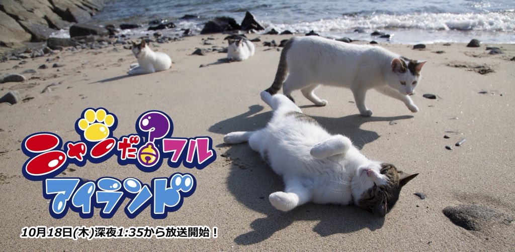 10月18日からはテレビせとうちでもミニ猫番組が始まります。人気の猫のダヤン、タマ&フレンズうちのタマ知りませんか、など 10月18日からはテレビせとうちでもミニ猫番組が始まります。人気の猫のダヤン、タマ&フレンズうちのタマ知りませんか、など