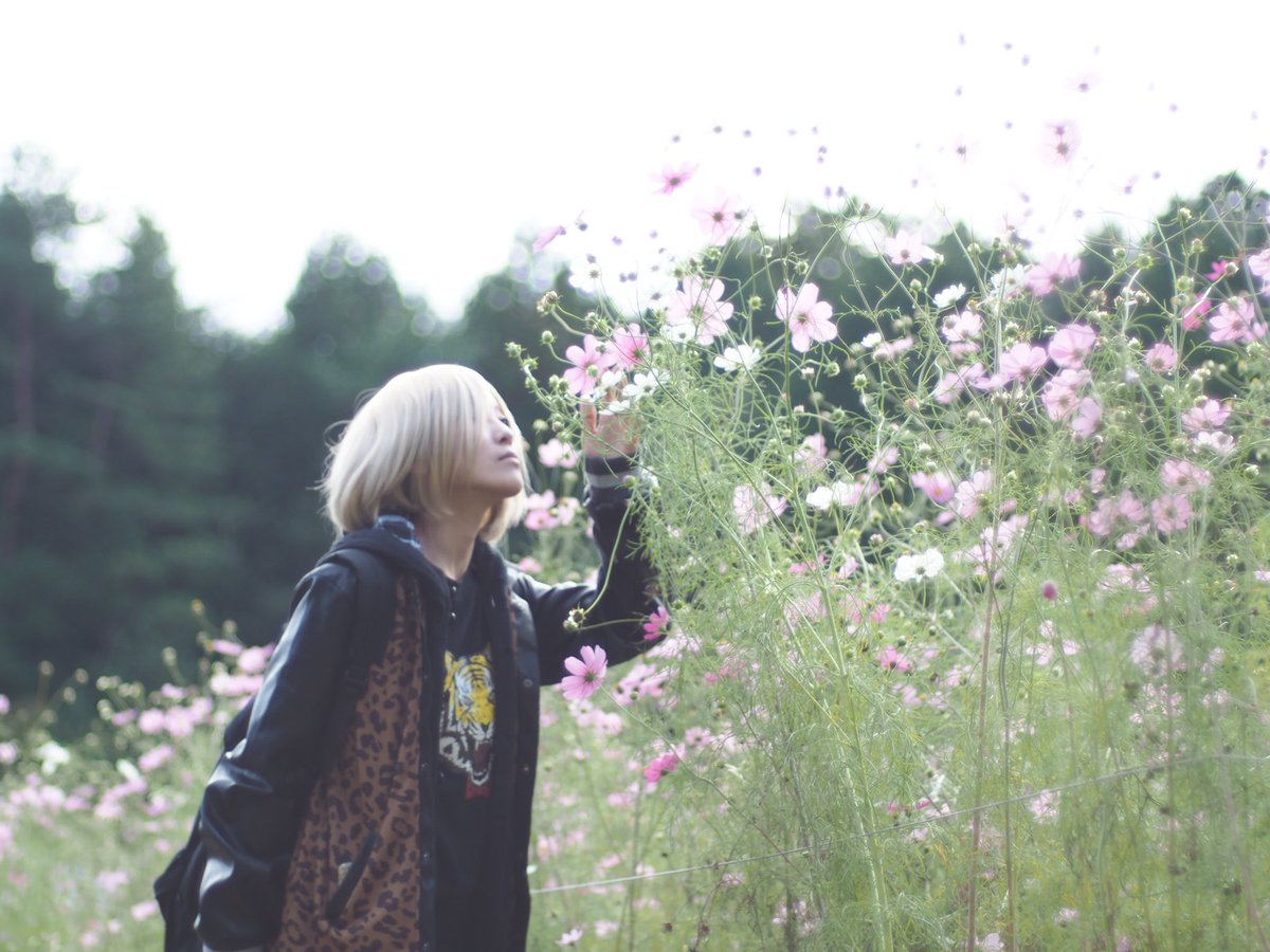 cos/ユーリ!!! on ICEユーリ・プリセツキー:アルカさん( ) cos/ユーリ!!! on ICEユーリ・プリセツキー:アルカさん( )