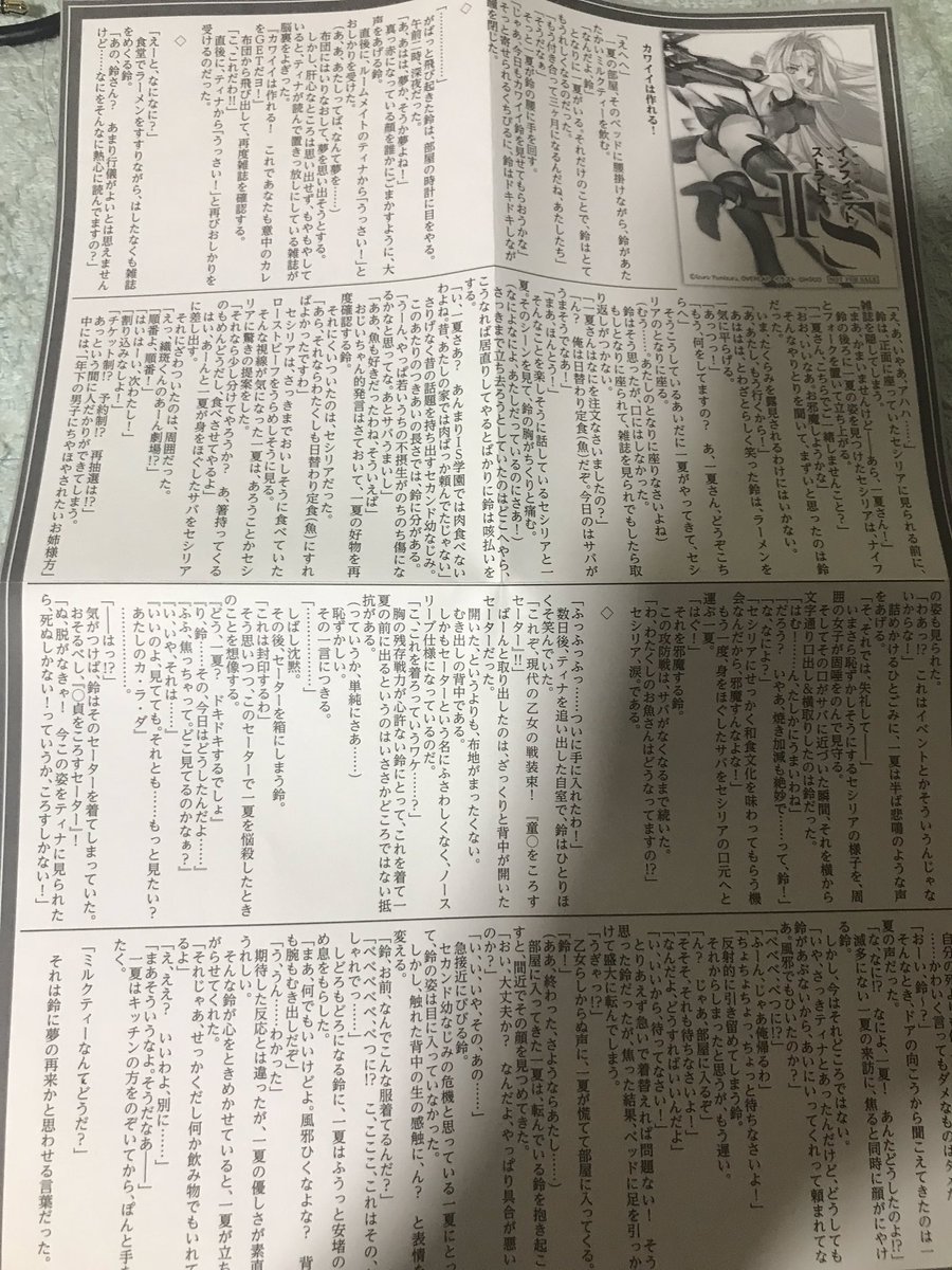 八月さん風の噂でインフィニット・ストラトス11巻の特典小説をお持ちだと伺ったのですがそれってこういう物ではないでしょうか 八月さん風の噂でインフィニット・ストラトス11巻の特典小説をお持ちだと伺ったのですがそれってこういう物ではないでしょうか