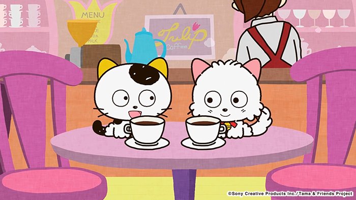 アニメ タマ&フレンズ~うちのタマ知りませんか?~ 今日のお話は「モモはカフェネコ」モモちゃんの家はカフェです。カフェと アニメ タマ&フレンズ~うちのタマ知りませんか?~ 今日のお話は「モモはカフェネコ」モモちゃんの家はカフェです。カフェと