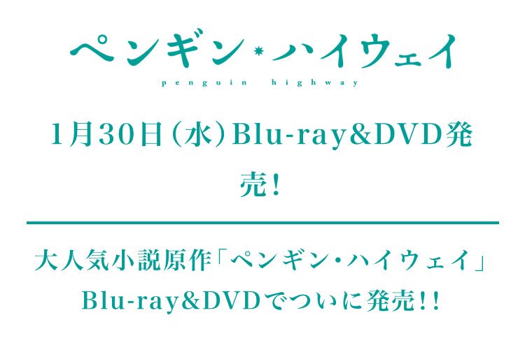 ペンギンハイウェイ円盤発売決定!#ペンギンハイウェイ ペンギンハイウェイ円盤発売決定!#ペンギンハイウェイ