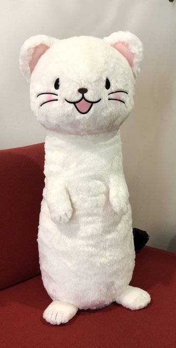 【放送局追加】11/3土、6:30〜6:35 愛媛朝日テレビ「瀬戸にゃん海」内で #オコジョとヤマネ の放送が始まります 【放送局追加】11/3土、6:30〜6:35 愛媛朝日テレビ「瀬戸にゃん海」内で #オコジョとヤマネ の放送が始まります