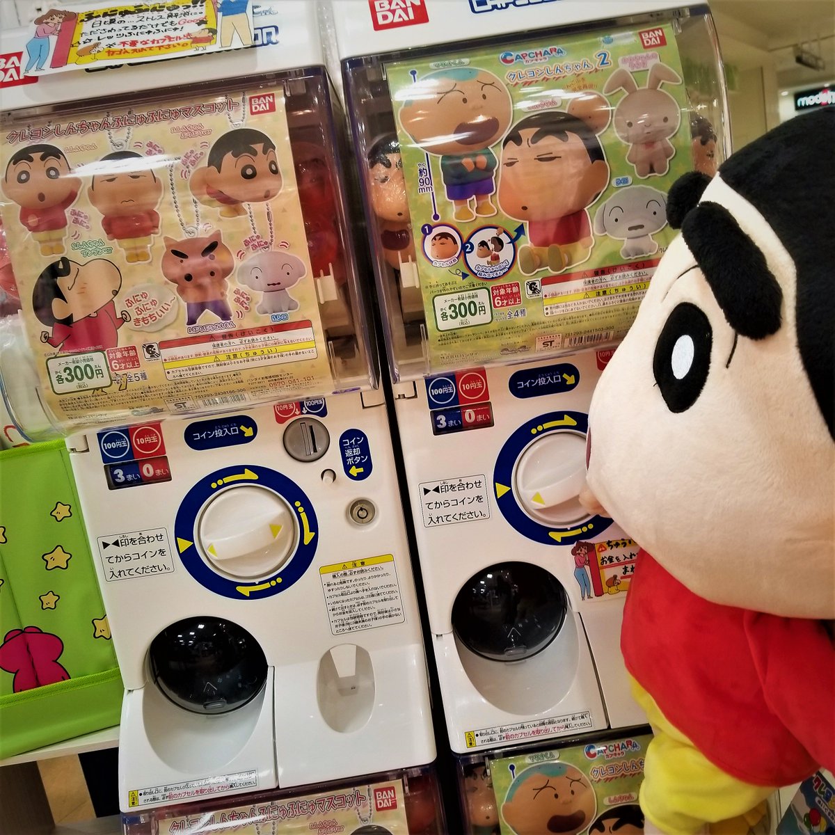 今日も元気に営業中です!!店頭では、しんちゃんのガチャが好評販売中です☆(1回300円)ふにゅふにゅマスコットとカプキャ 今日も元気に営業中です!!店頭では、しんちゃんのガチャが好評販売中です☆(1回300円)ふにゅふにゅマスコットとカプキャ