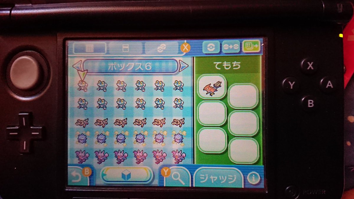 出)画像のポケモン ケロマツ以外は理想個体 ケロマツはめざ炎個体です!⚠︎A0個体ではありません!!求 出)画像のポケモン ケロマツ以外は理想個体 ケロマツはめざ炎個体です!⚠︎A0個体ではありません!!求