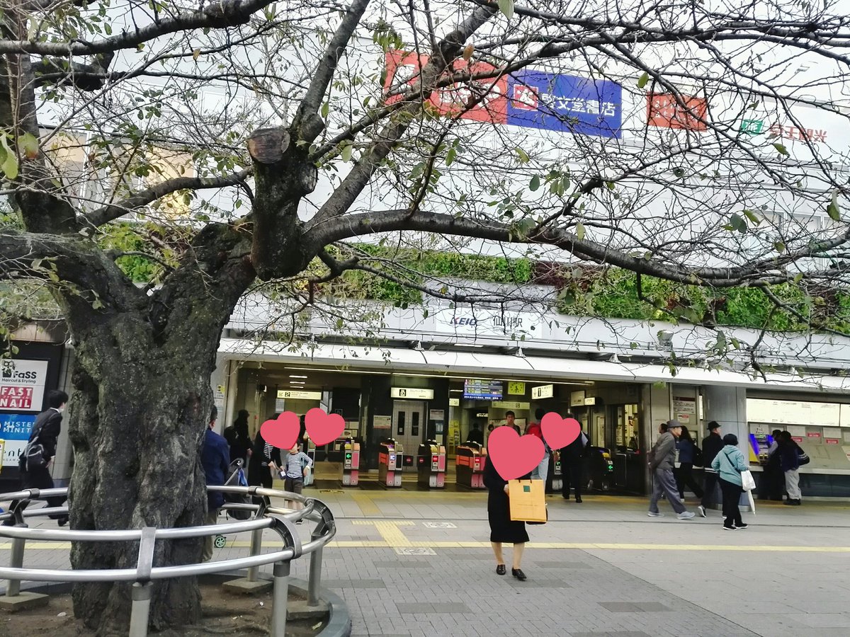 またこの街に来ました。東京都立神代高校のこの校舎は、来年の夏休み、壊されるとある先生から聞きました。Time waits またこの街に来ました。東京都立神代高校のこの校舎は、来年の夏休み、壊されるとある先生から聞きました。Time waits