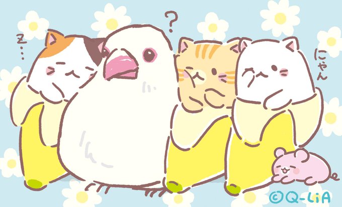 10月24日は #文鳥の日 にゃ!! ばなにゃ達は文鳥さんのおとなりでお昼寝したにゃ〜💤ふかふかでとっても気持ちよかった 10月24日は #文鳥の日 にゃ!! ばなにゃ達は文鳥さんのおとなりでお昼寝したにゃ〜💤ふかふかでとっても気持ちよかった