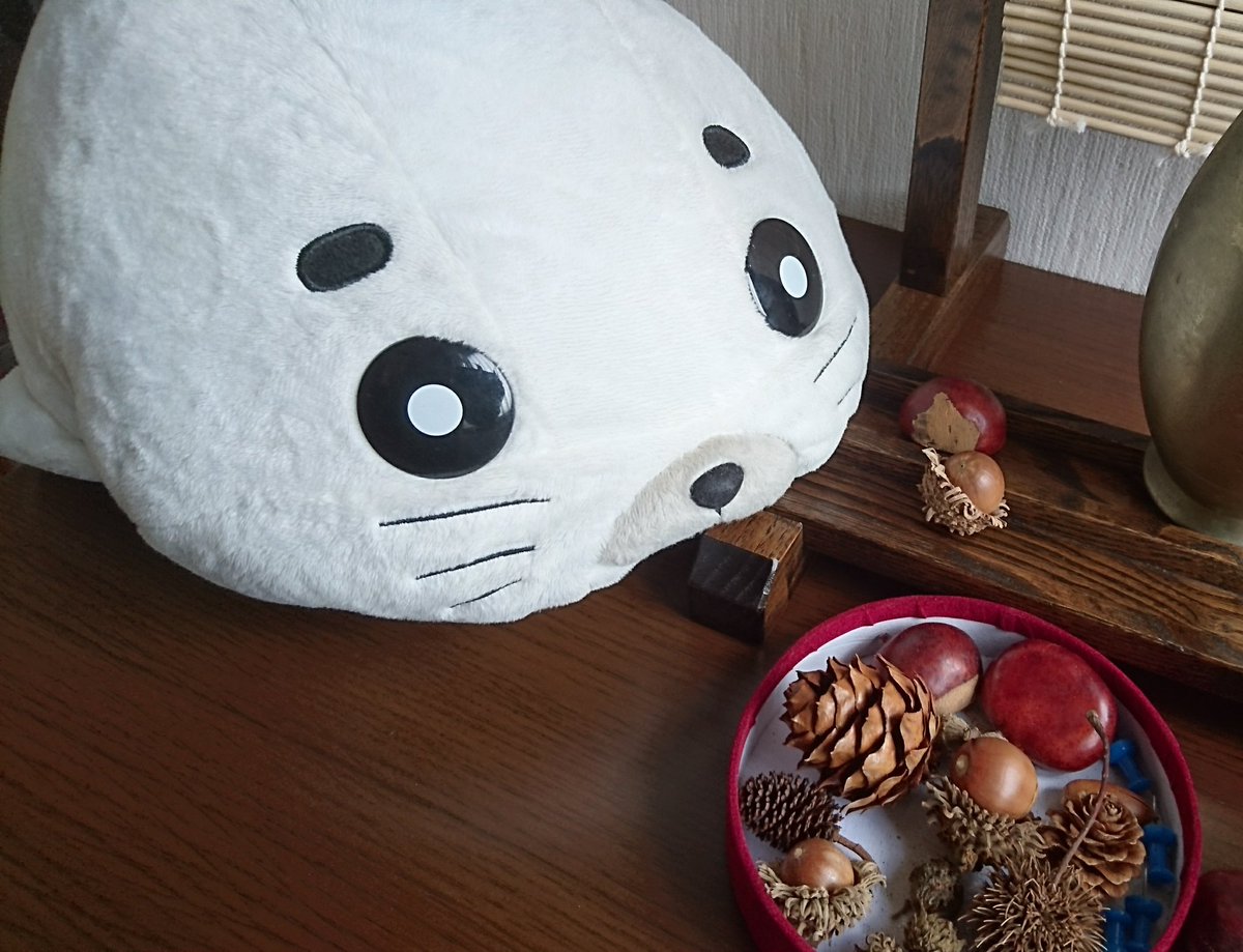 ゴマ「じーーー…」(¯・ω・¯) ゴクリリス「こ…これ貝じゃないよ! ぼ…ぼくのおやつの栗だから💦」🐿️💦# ゴマ「じーーー…」(¯・ω・¯) ゴクリリス「こ…これ貝じゃないよ! ぼ…ぼくのおやつの栗だから💦」🐿️💦#