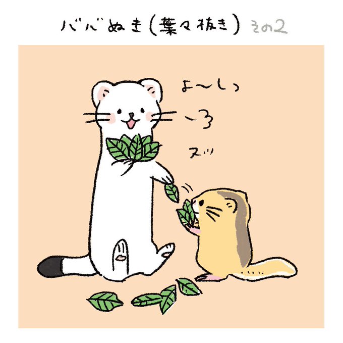 おこやま漫画・ババ抜きその二そもそも…😂#おこやま #オコジョとヤマネ おこやま漫画・ババ抜きその二そもそも…😂#おこやま #オコジョとヤマネ