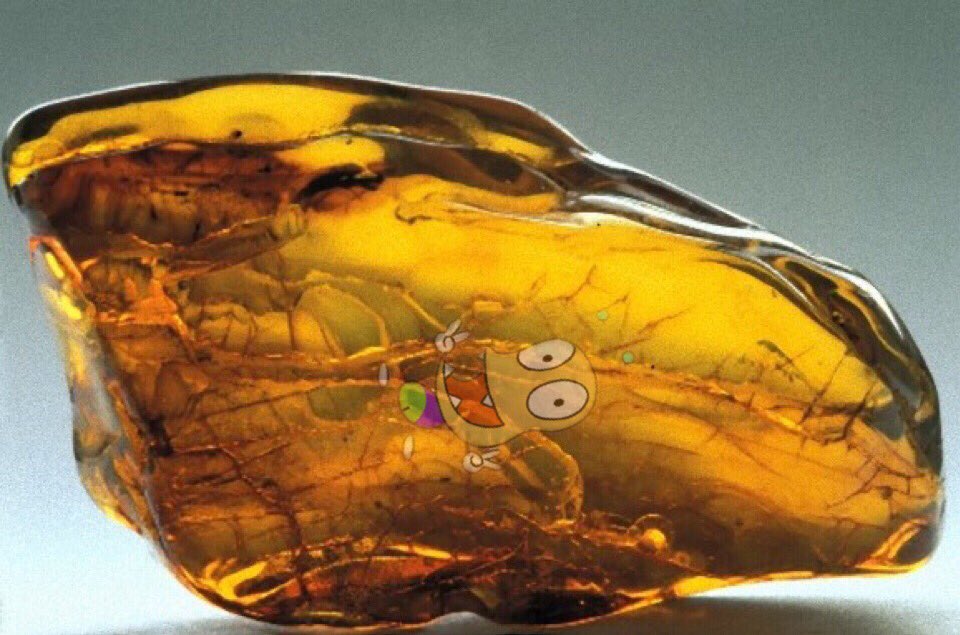 おしりかじり虫が入っちゃってる琥珀 おしりかじり虫が入っちゃってる琥珀