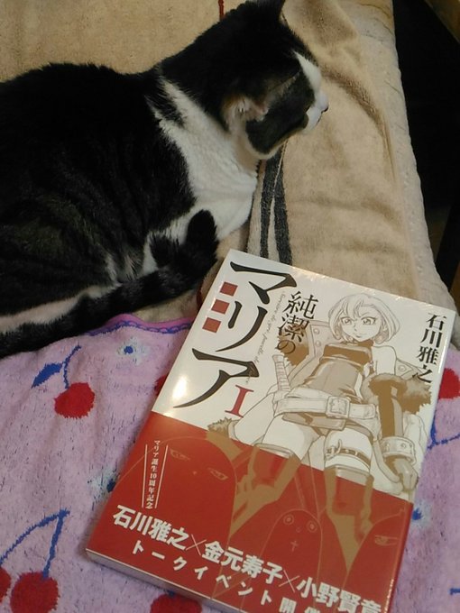 ちなみに石川雅之先生の純潔のマリアでっかい版1巻買って帰りましたは〜〜、みるの楽しみ…!😳 ちなみに石川雅之先生の純潔のマリアでっかい版1巻買って帰りましたは〜〜、みるの楽しみ…!😳