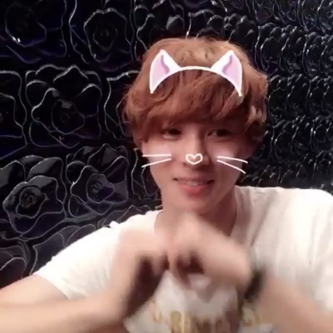 1〜3まいめ💗👉💗👉💗👉ねこ🐱💖💖ようちえんじ💖👦💖ねこ💖😻💖4枚目:極道\\ 壮絶に かわいげが 消える // 1〜3まいめ💗👉💗👉💗👉ねこ🐱💖💖ようちえんじ💖👦💖ねこ💖😻💖4枚目:極道\\ 壮絶に かわいげが 消える //