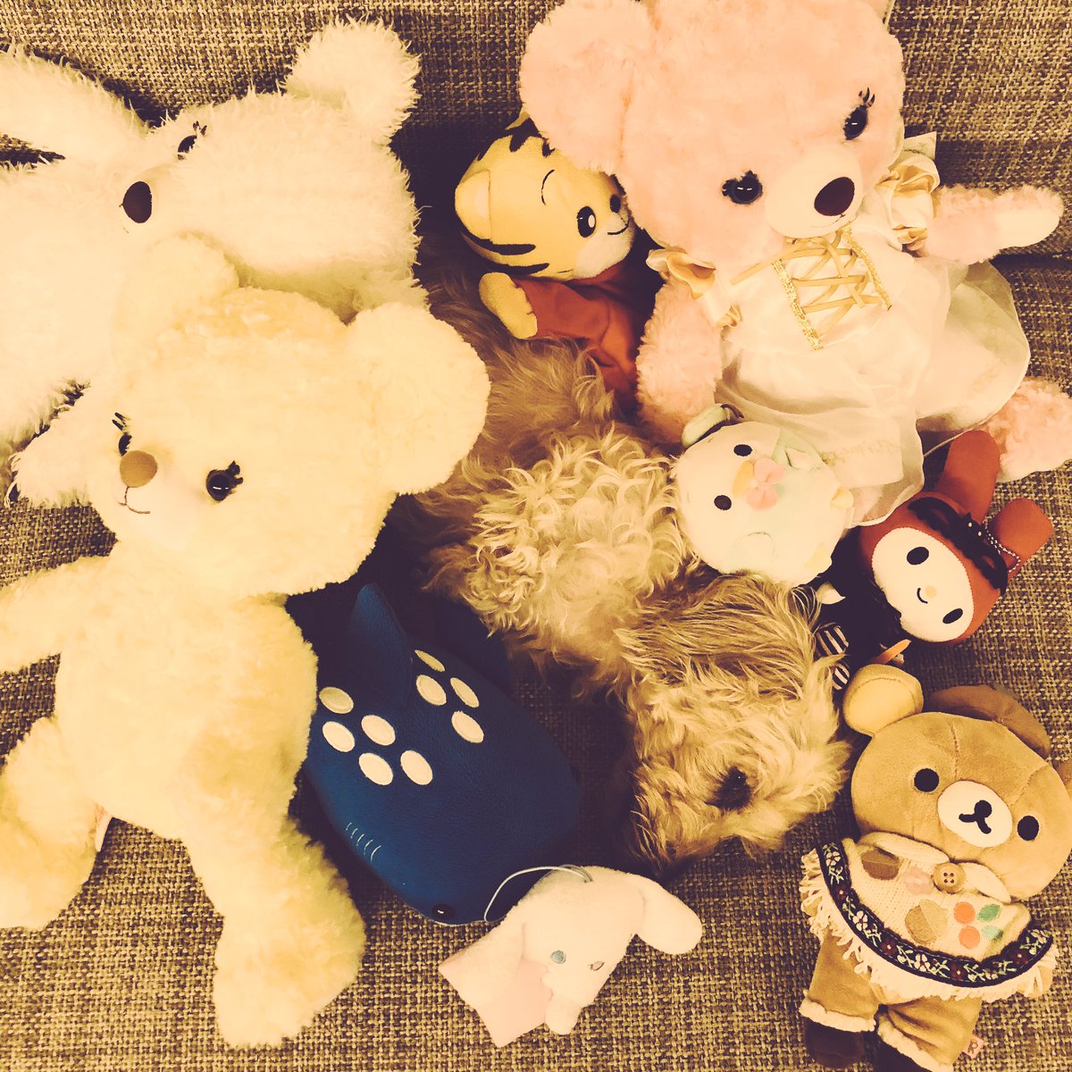 おはよう。昨夜は、新しい経験ができて楽しかった!今日は、水曜かぁ。昼間、一番バタバタする曜日だな。頑張るか!(散髪前のし おはよう。昨夜は、新しい経験ができて楽しかった!今日は、水曜かぁ。昼間、一番バタバタする曜日だな。頑張るか!(散髪前のし