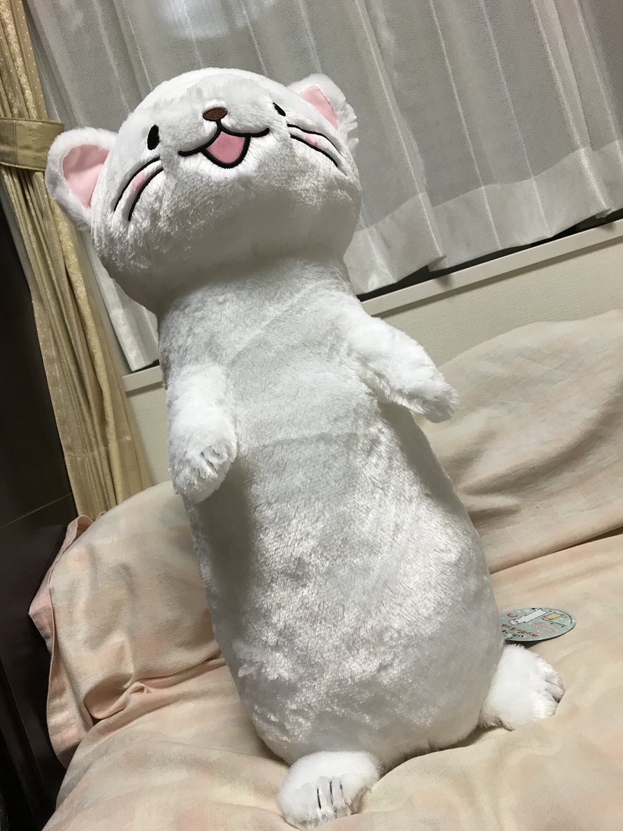 我が家にもオコジョやってきた! #オコジョとヤマネ 我が家にもオコジョやってきた! #オコジョとヤマネ