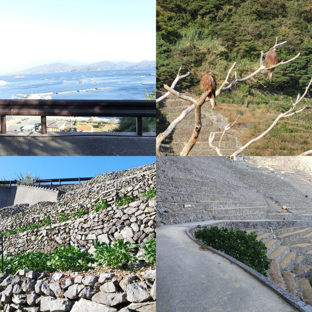 今年の四国旅行にて、宇和島でワカコ酒で撮影に使われた場所と豪雨災害も気になり現場に行ってみた写真。今回、ふっこう割13を 今年の四国旅行にて、宇和島でワカコ酒で撮影に使われた場所と豪雨災害も気になり現場に行ってみた写真。今回、ふっこう割13を