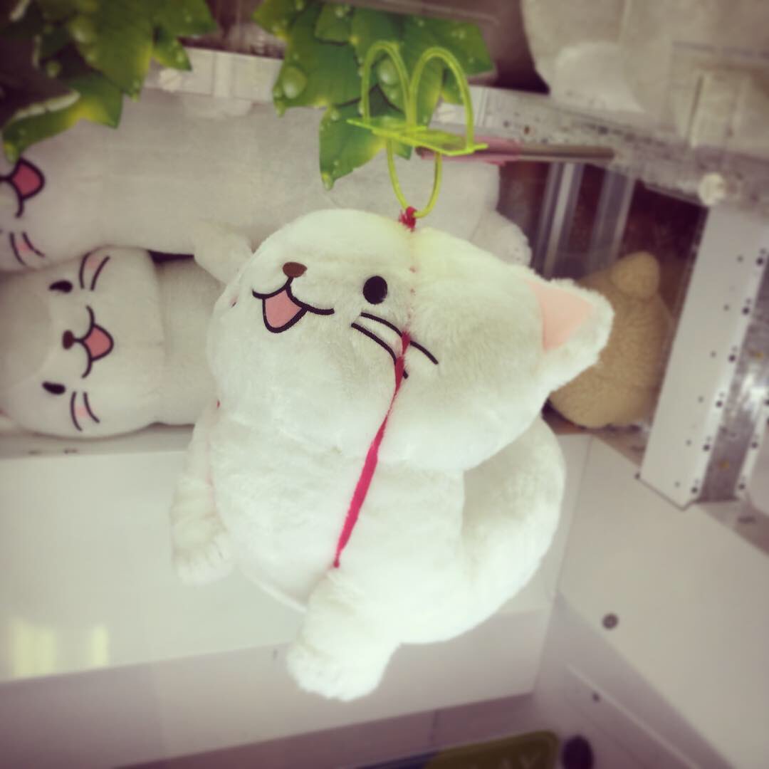 池袋のゲームセンターへオコジョを探しに行ってみたら、なんだかかわいそうなことになってた😂は、早く誰か救出したげてー!!! 池袋のゲームセンターへオコジョを探しに行ってみたら、なんだかかわいそうなことになってた😂は、早く誰か救出したげてー!!!