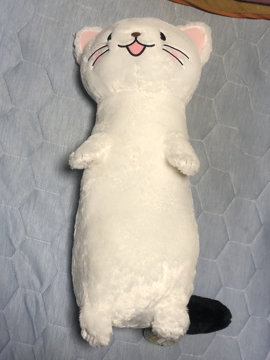 ヤマネーーーーーっ!あーかわいいかわいすぎるずるいフェルくんとフローラちゃんには悪いけどかわいくてたまらんほんとずるい# ヤマネーーーーーっ!あーかわいいかわいすぎるずるいフェルくんとフローラちゃんには悪いけどかわいくてたまらんほんとずるい#