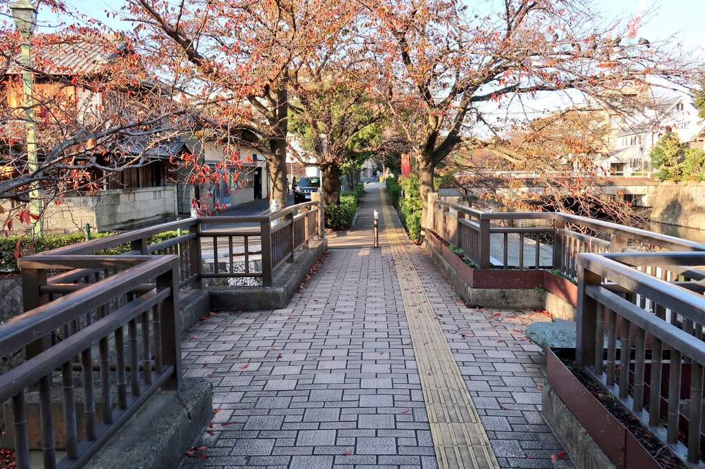 「聲の形」で有名な、大垣の美登鯉橋に来ました!二枚目は一脚芸で上手く角度合わせられて良かったです! 「聲の形」で有名な、大垣の美登鯉橋に来ました!二枚目は一脚芸で上手く角度合わせられて良かったです!