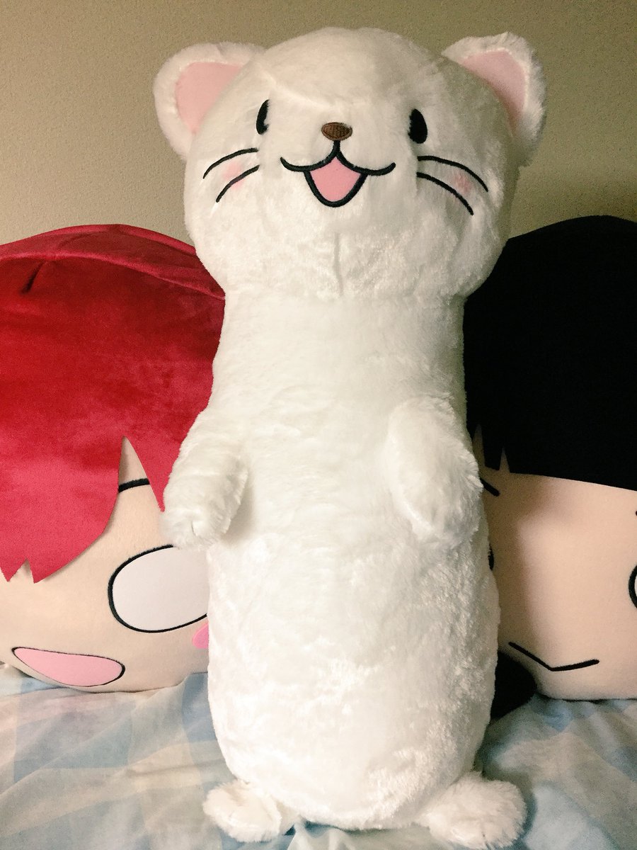 今日ゲーセンで取ってきた「オコジョとヤマネ」のオコジョぬいぐるみも撮影。大きくてもふもふで可愛い 今日ゲーセンで取ってきた「オコジョとヤマネ」のオコジョぬいぐるみも撮影。大きくてもふもふで可愛い