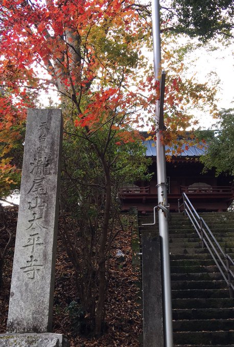 久しぶりに夫とドライブ、遠出は無理なので栃木の烏山へ。大平寺は以前より随分と古びた感じ。ひっそりと 川口松太郎の「蛇姫様 久しぶりに夫とドライブ、遠出は無理なので栃木の烏山へ。大平寺は以前より随分と古びた感じ。ひっそりと 川口松太郎の「蛇姫様
