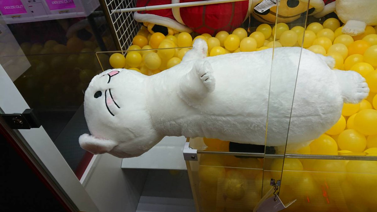 お父さんが部活行ってる間に取ってくれた!!どうやらラウンドワンまで行ったらしく、、、しかも残り2個だったそうで💦💦無事に お父さんが部活行ってる間に取ってくれた!!どうやらラウンドワンまで行ったらしく、、、しかも残り2個だったそうで💦💦無事に