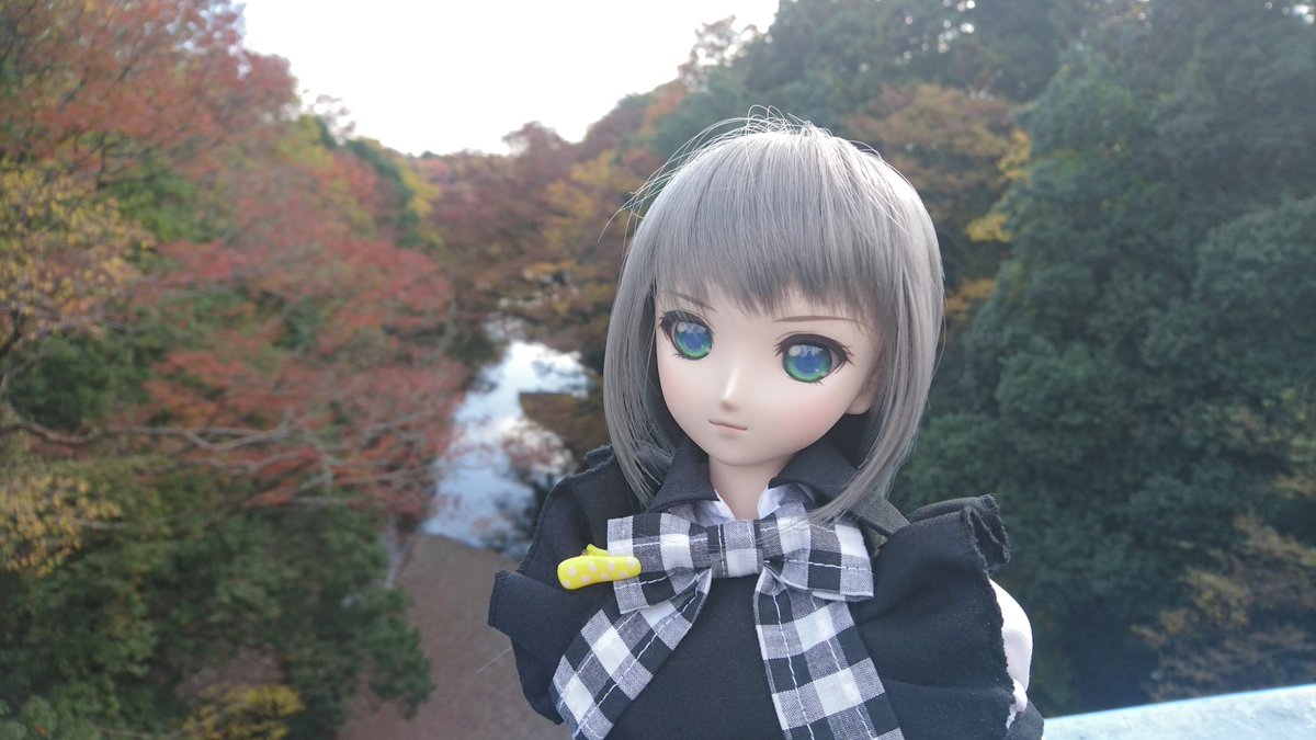 ニャル子「近くの飯能河原に来たよ。紅葉が良い感じですね🎵」#うちのこかわいい#ドルフィードリーム#ドールオーナーさんと繋 ニャル子「近くの飯能河原に来たよ。紅葉が良い感じですね🎵」#うちのこかわいい#ドルフィードリーム#ドールオーナーさんと繋