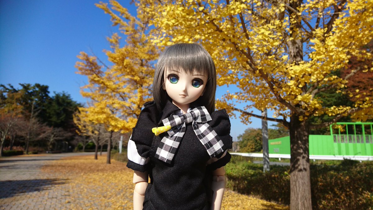 ニャル子「羊山公園から見えた反対側の山の秩父ミューズパークに来たけど、いちょうの木が凄いよ‼️」初めて来たけど、良い所を ニャル子「羊山公園から見えた反対側の山の秩父ミューズパークに来たけど、いちょうの木が凄いよ‼️」初めて来たけど、良い所を