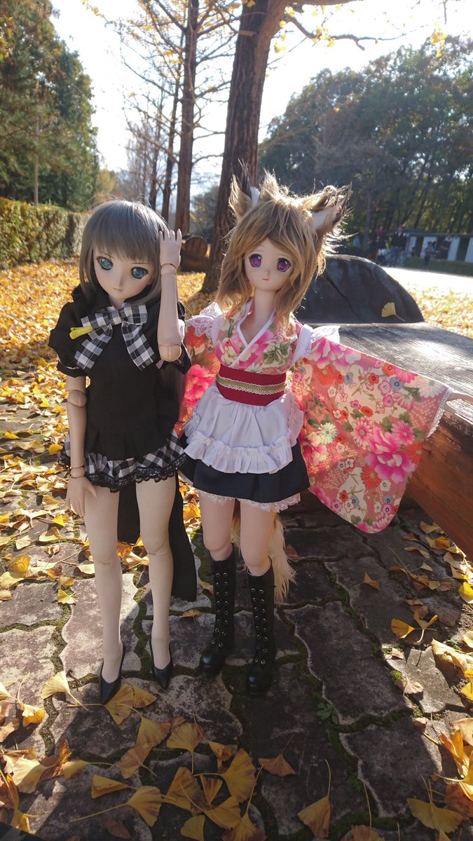 美羽「ニャル子ちゃん、ニャル子ちゃん、黄色い絨毯みたいに綺麗だよ。」ニャル子「撮影してるお父さんの後ろで、私達を見ている 美羽「ニャル子ちゃん、ニャル子ちゃん、黄色い絨毯みたいに綺麗だよ。」ニャル子「撮影してるお父さんの後ろで、私達を見ている