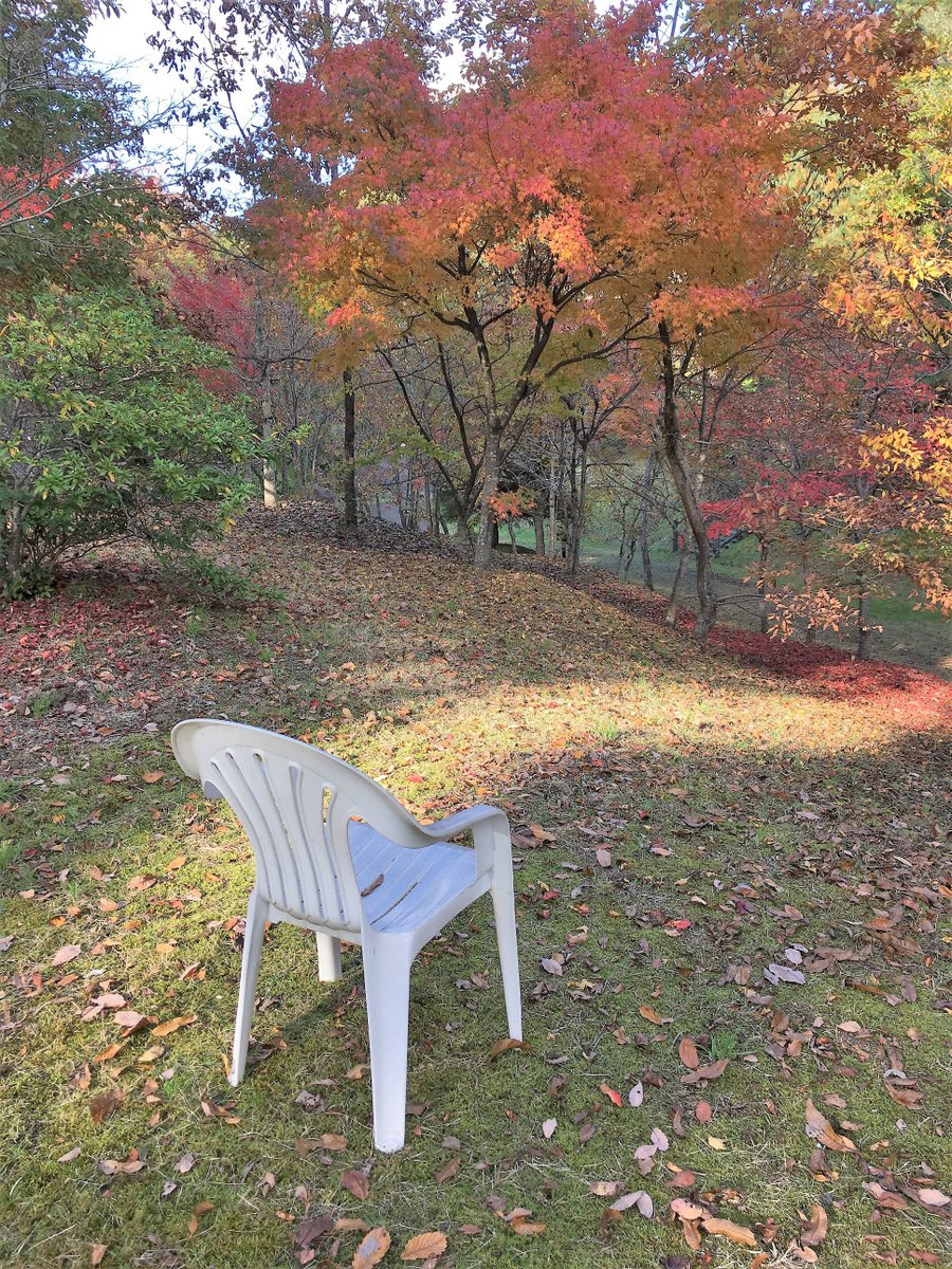 仙台文学館の木々の紅葉もいっきに進みました。館内は「ガラスの仮面展」の熱気が渦を巻いていますが、一歩外へ出ると驚くほど静 仙台文学館の木々の紅葉もいっきに進みました。館内は「ガラスの仮面展」の熱気が渦を巻いていますが、一歩外へ出ると驚くほど静