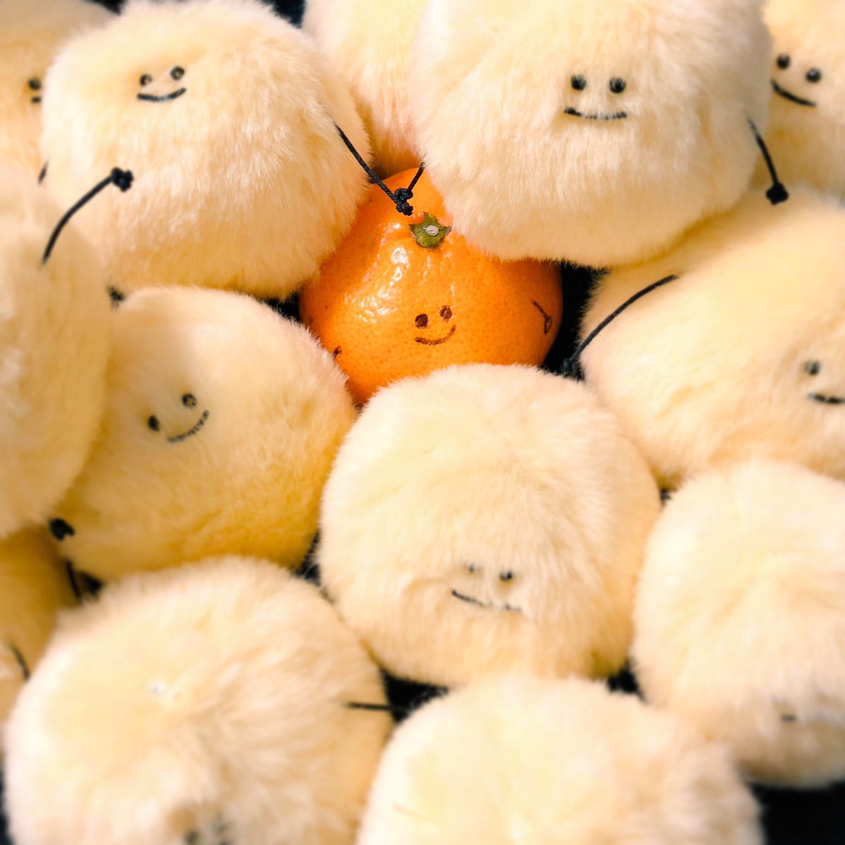 デザフェスおつかれさまでした🌱まめのぬいぐるみ大好評をいただきました!ありがとうございました!つぎは冬のワンフェスそのあ デザフェスおつかれさまでした🌱まめのぬいぐるみ大好評をいただきました!ありがとうございました!つぎは冬のワンフェスそのあ