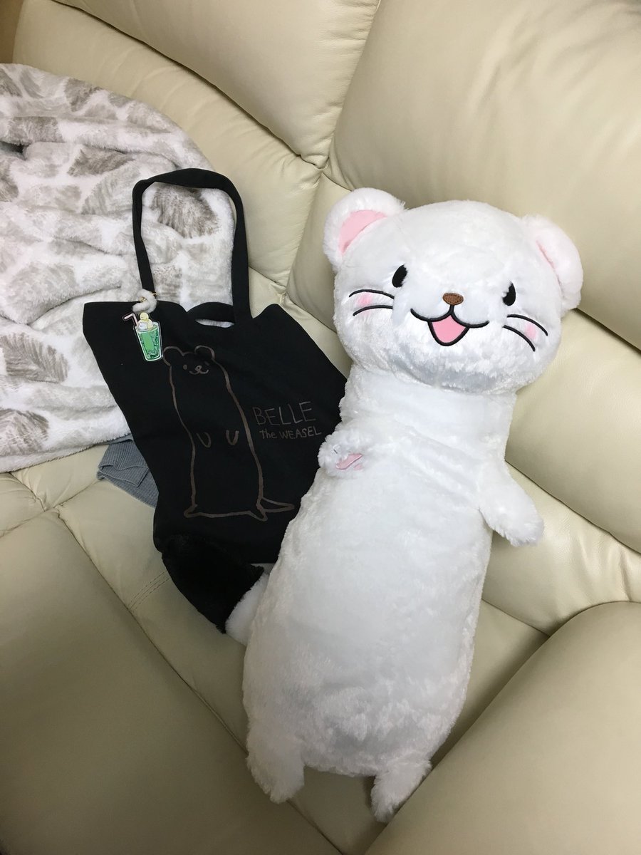 ついに!私もお迎えできましたー!!嬉しすぎてラウワンでテンション高すぎた!笑#いたちーずワンダーランド #オコジョとヤマ ついに!私もお迎えできましたー!!嬉しすぎてラウワンでテンション高すぎた!笑#いたちーずワンダーランド #オコジョとヤマ