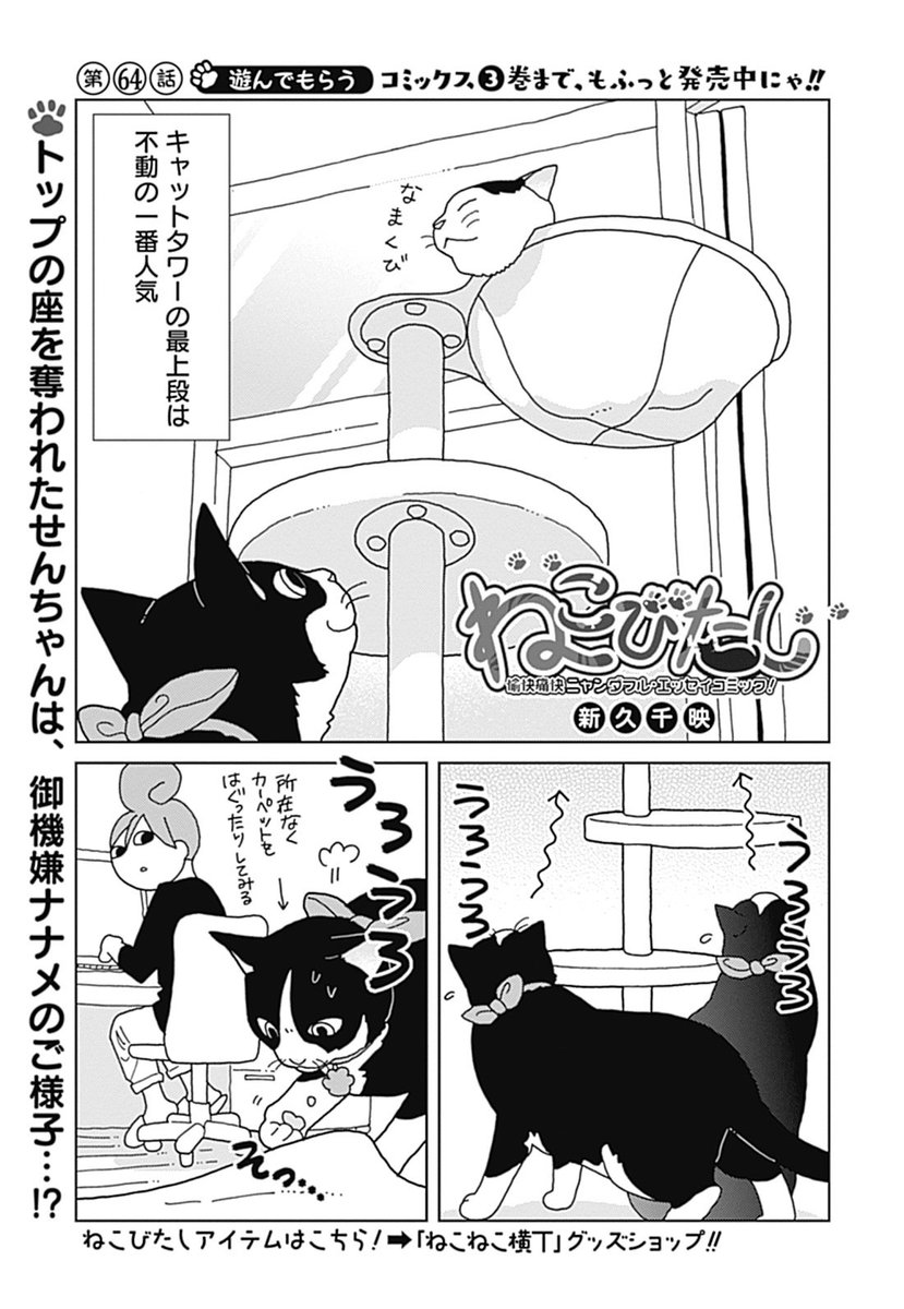 「ワカコ酒」で大ブレイク! 新久千映先生と猫ちゃんたちのエッセイコミック『ねこびたし』第64話が配信! 登ったり降りたり 「ワカコ酒」で大ブレイク! 新久千映先生と猫ちゃんたちのエッセイコミック『ねこびたし』第64話が配信! 登ったり降りたり