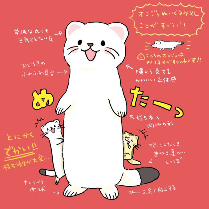 オコジョぬいぐるみXLプレミアムのここがすごい!作者的こだわりポイントまとめてみました😊360度どこから見てもいい立体感 オコジョぬいぐるみXLプレミアムのここがすごい!作者的こだわりポイントまとめてみました😊360度どこから見てもいい立体感