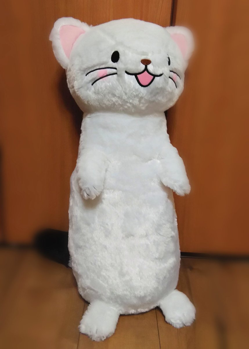 先輩がとってくれた..(´◊ω◊`)✧*思ったよりでかくてめんこい 嬉しいー#オコジョとヤマネ 先輩がとってくれた..(´◊ω◊`)✧*思ったよりでかくてめんこい 嬉しいー#オコジョとヤマネ